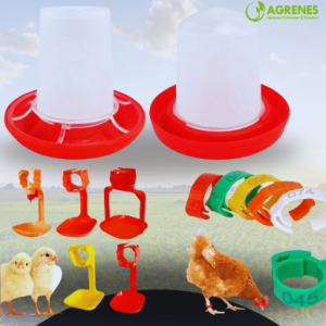 Poultry Care